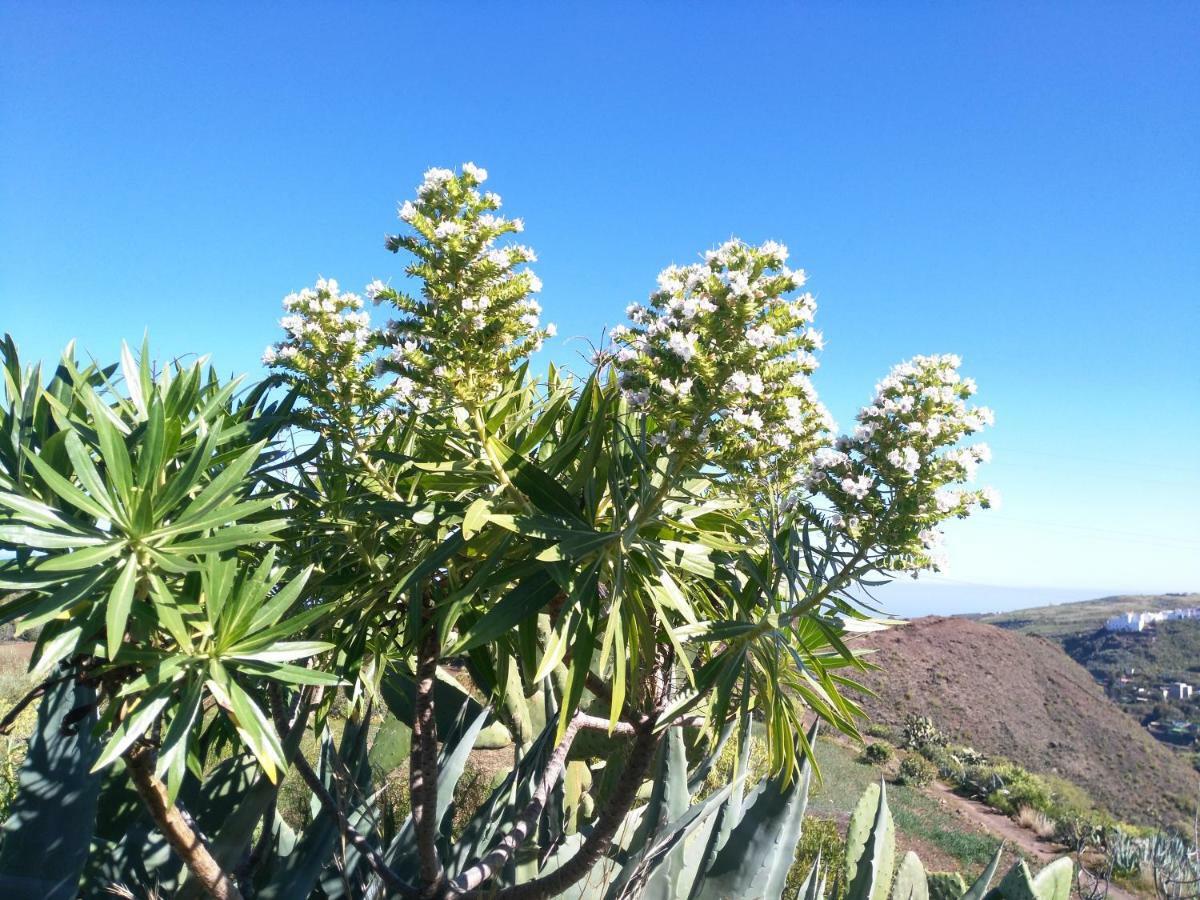 וגה דה סן מטאו Chalet Ruta Las Lagunetas מראה חיצוני תמונה